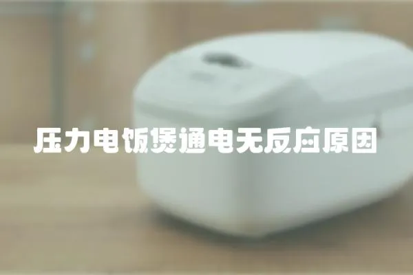 壓力電飯煲通電無反應原因