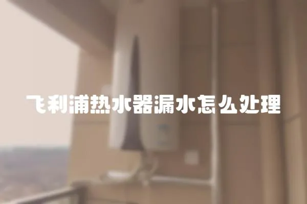 飛利浦熱水器漏水怎么處理