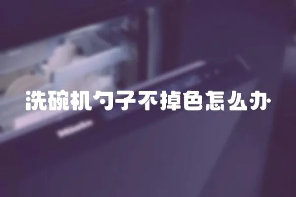 洗碗機(jī)勺子不掉色怎么辦