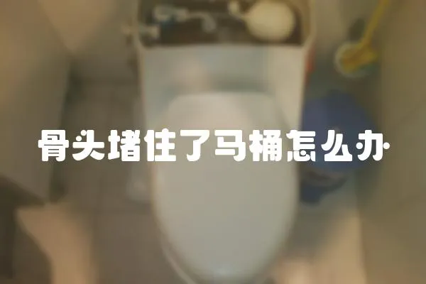 骨頭堵住了馬桶怎么辦