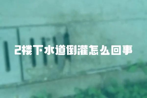 2樓下水道倒灌怎么回事