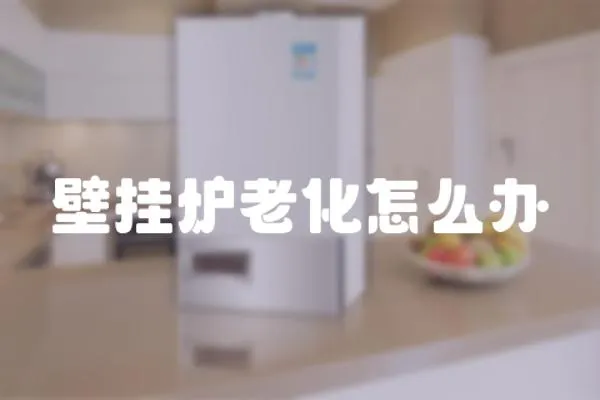壁掛爐老化怎么辦