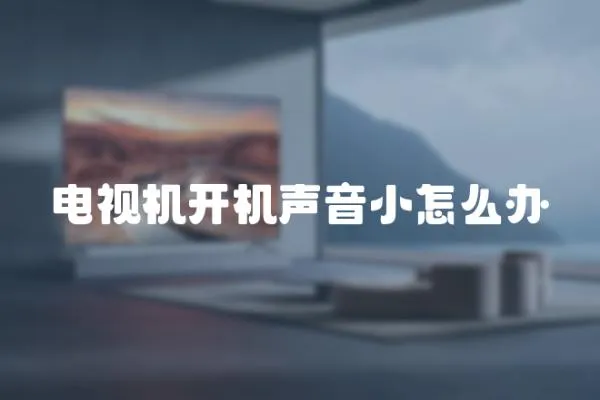 電視機開機聲音小怎么辦