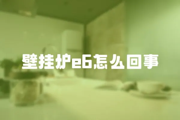 壁掛爐e6怎么回事