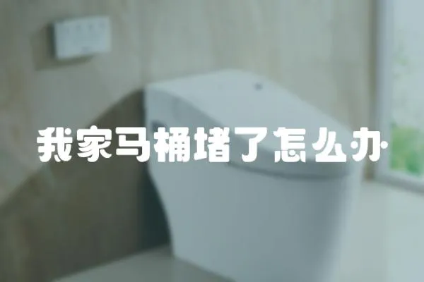 我家馬桶堵了怎么辦