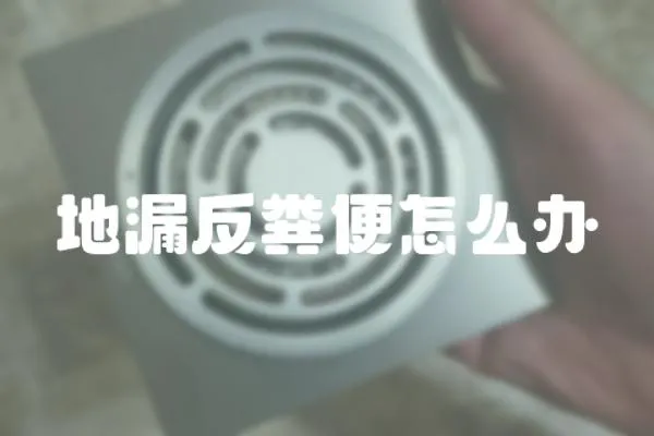 地漏反糞便怎么辦