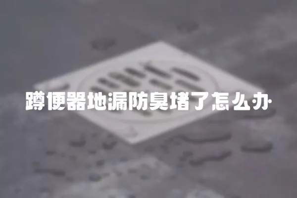 蹲便器地漏防臭堵了怎么辦