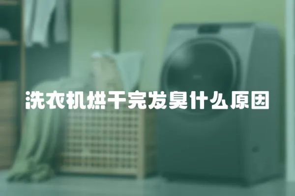 洗衣機烘干完發臭什么原因