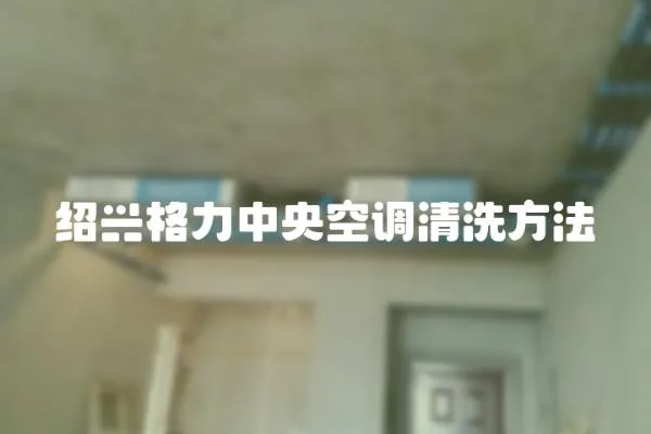 紹興格力中央空調清洗方法