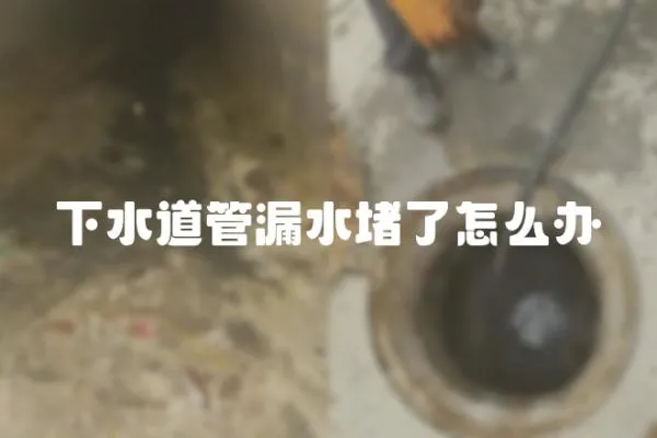 下水道管漏水堵了怎么辦