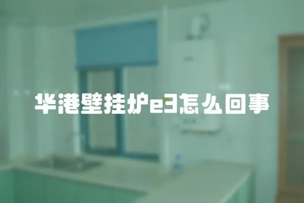 華港壁掛爐e3怎么回事