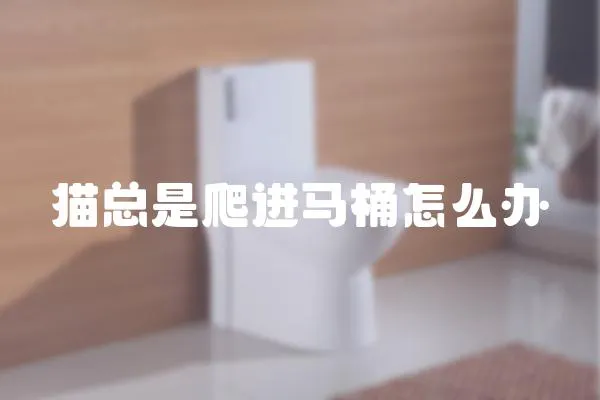 貓總是爬進(jìn)馬桶怎么辦