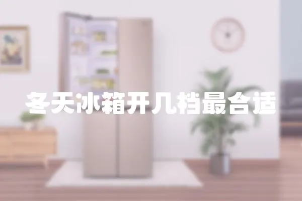 冬天冰箱開幾檔最合適