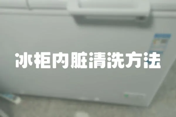 冰柜內臟清洗方法