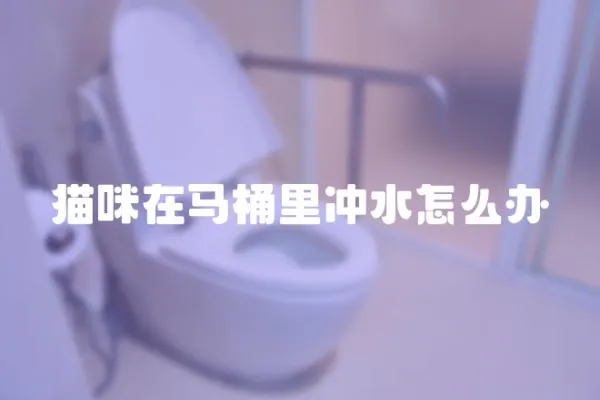 貓咪在馬桶里沖水怎么辦