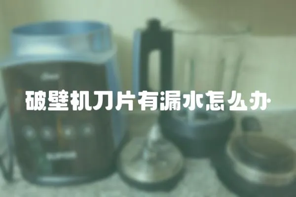 破壁機刀片有漏水怎么辦