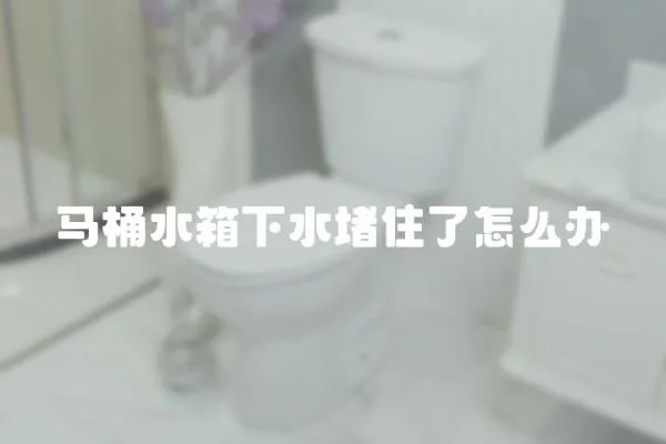 馬桶水箱下水堵住了怎么辦