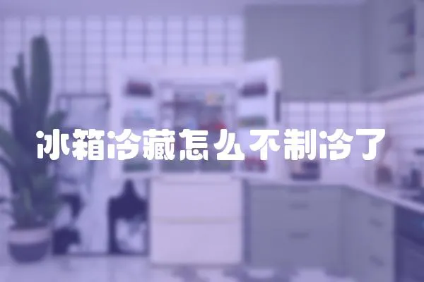 冰箱冷藏怎么不制冷了