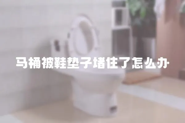 馬桶被鞋墊子堵住了怎么辦