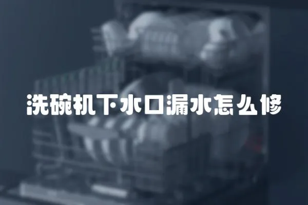 洗碗機下水口漏水怎么修