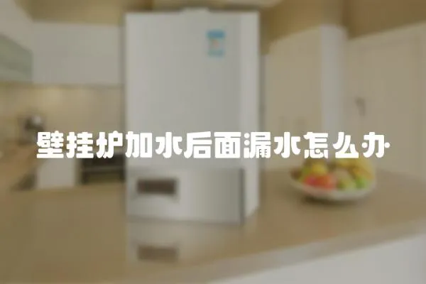 壁掛爐加水后面漏水怎么辦