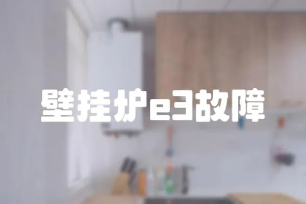 壁掛爐e3故障