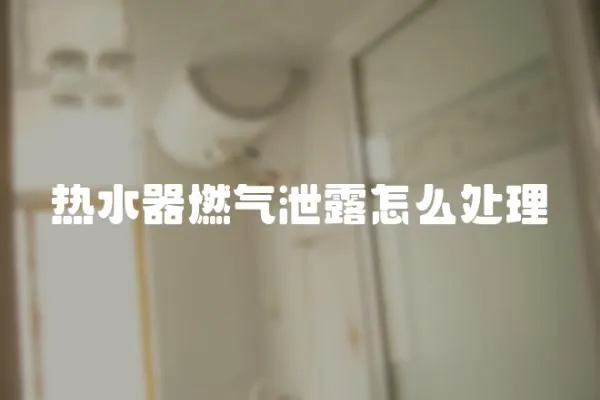 熱水器燃?xì)庑孤对趺刺幚?></a></div>
                    <div   id=