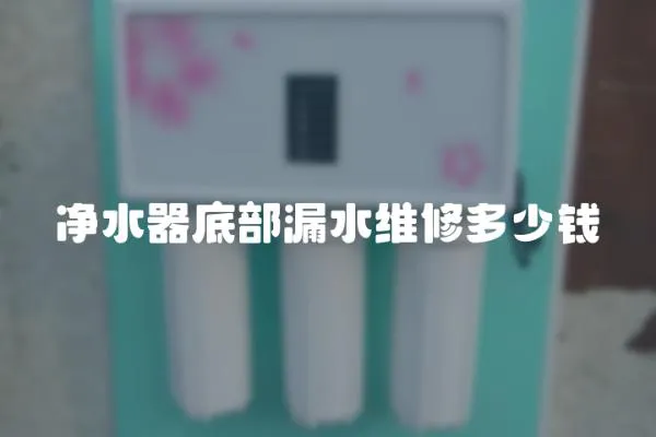 凈水器底部漏水維修多少錢