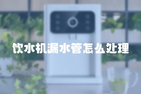 飲水機漏水管怎么處理
