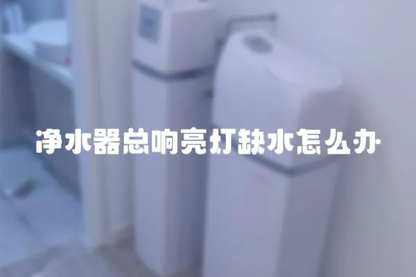 凈水器總響亮燈缺水怎么辦