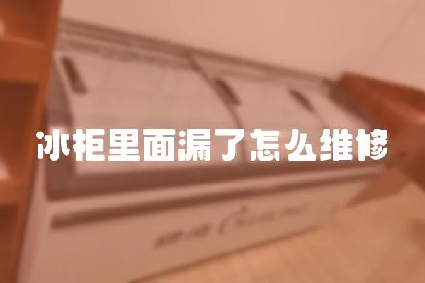 冰柜里面漏了怎么維修
