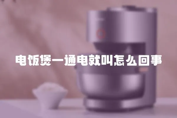 電飯煲一通電就叫怎么回事