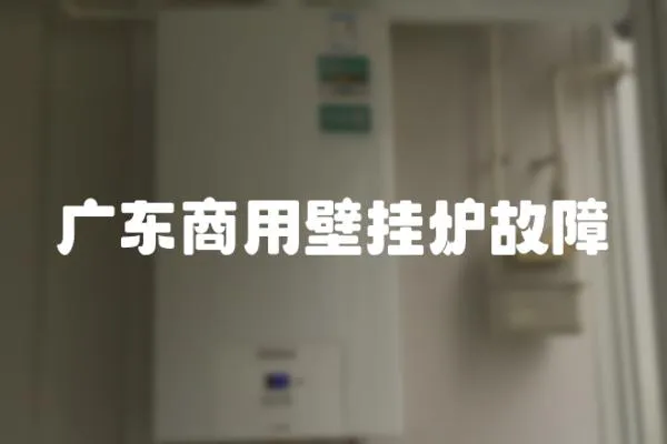 廣東商用壁掛爐故障