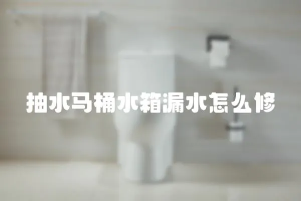 抽水馬桶水箱漏水怎么修