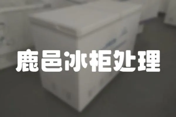 鹿邑冰柜處理