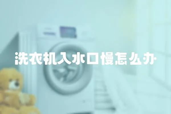 洗衣機入水口慢怎么辦