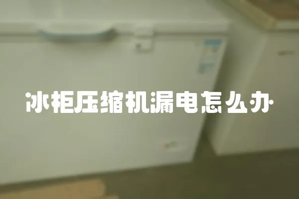 冰柜壓縮機漏電怎么辦