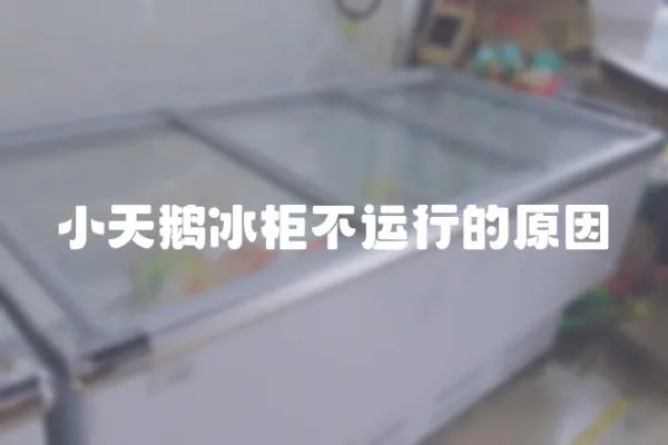 小天鵝冰柜不運行的原因