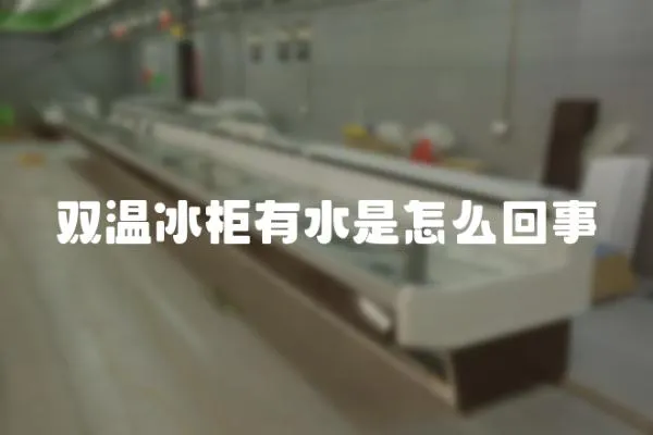 雙溫冰柜有水是怎么回事