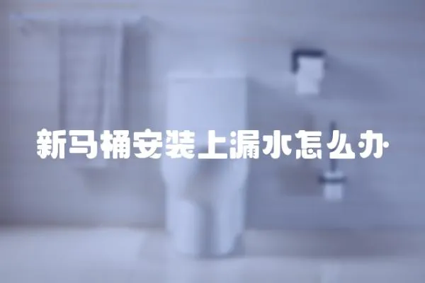 新馬桶安裝上漏水怎么辦