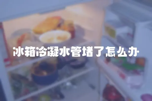 冰箱冷凝水管堵了怎么办