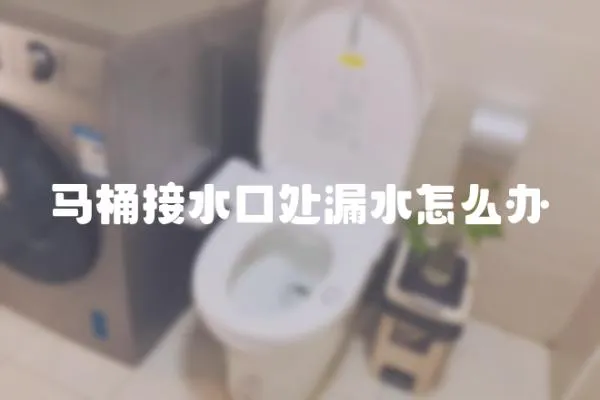 馬桶接水口處漏水怎么辦