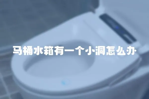 馬桶水箱有一個小洞怎么辦