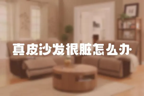 真皮沙發(fā)很臟怎么辦