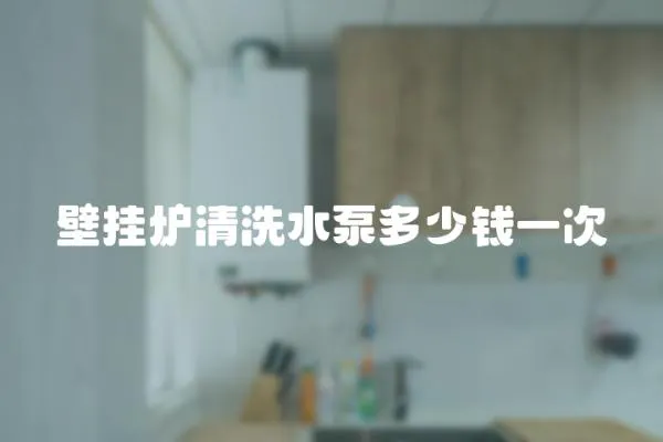 壁掛爐清洗水泵多少錢一次