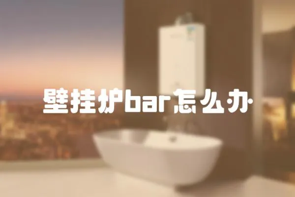 壁掛爐bar怎么辦