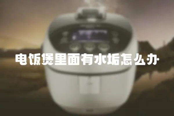 電飯煲里面有水垢怎么辦