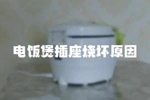 電飯煲插座燒壞原因