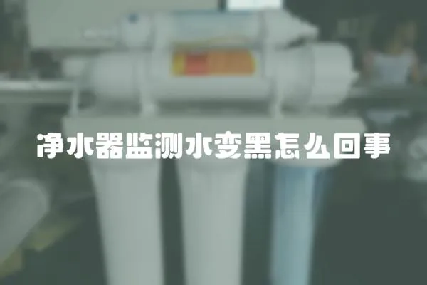 凈水器監測水變黑怎么回事