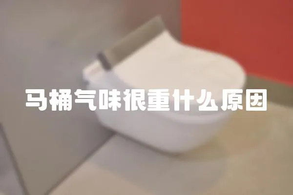 馬桶氣味很重什么原因